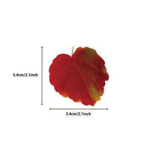 Size diagram of heart-shaped leaf sticker showing dimensions 5.4cm by 2.1inch detail
