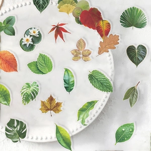 Pack of 50 transparent PET botanical leaf stickers for planners and scrapbooking