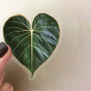 Detailed close-up of heart-shaped leaf sticker with golden edges and yellow veins