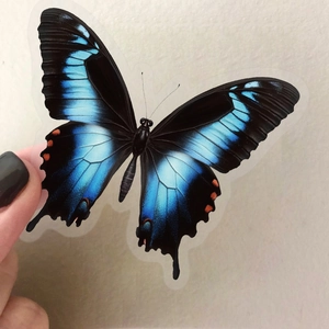 Détail macro d'un autocollant papillon en PET imperméable avec dégradé bleu et orange