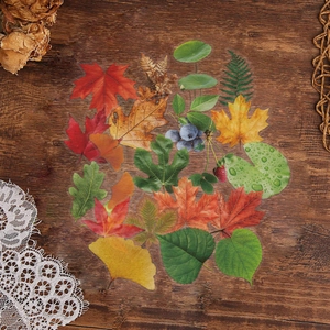 Flat lay of nature-themed PET leaf stickers with maple and ginkgo on dark wood