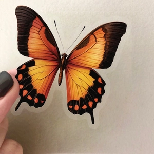 Autocollants de papillon vintage pour scrapbooking avec ailes orange et détails réalistes