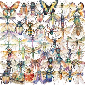 Set of 50 waterproof transparent PET insect stickers for scrapbooking and decoration