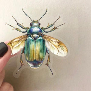 Detailed watercolor beetle PET sticker with metallic green and blue wings on grey background