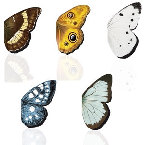 Juego de Marcadores de Libros Magnéticos de Mariposa Dibujos Animados Realista Mariposa Papel Imán Clips de Página para Estudiantes Oficina Accesorios de Lectura
