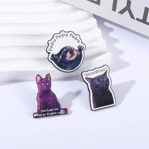 Lot de pins émaillés créatifs avec raton laveur et chat noir sur support d'exposition
