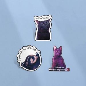 Humorous Meme Animal Enamel Pins Funny Black Cat English Major Dissociating Pedro Raccoon Zinc Alloy Brooches For Backpacks