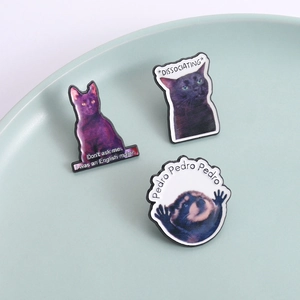 Funny enamel cat and raccoon meme pins including Pedro and English Major designs
