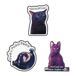 Set of funny animal enamel pins featuring a black cat, raccoon, and meme text designs