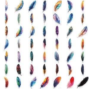Set of 50 colorful cartoon feather stickers for scrapbooking and waterproof decoration