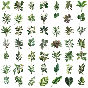 Set of 50 waterproof green leaf PET stickers featuring various botanical plant designs