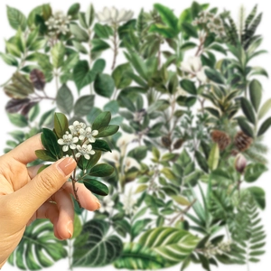 Macro detail of transparent botanical stickers showing delicate white flowers and green leaves