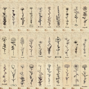Set of 30 vintage floral paper bookmarks with retro botanical hand-drawn line art