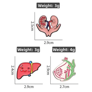 Detailansicht anatomischer Organ-Anstecknadeln mit genauen Gewichtsangaben