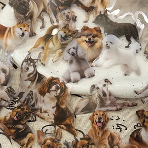 Set of 50 waterproof PET dog stickers featuring realistic husky and golden retriever designs