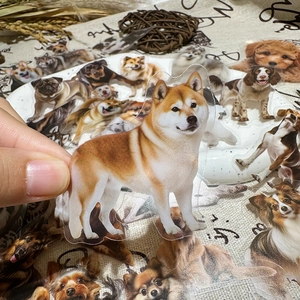 50 waterproof PET dog stickers featuring Shiba Inu, Corgi, and Husky for DIY decoration