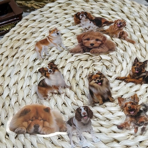 Detail of transparent waterproof PET dog stickers on a rustic woven background texture