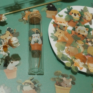 50pcs waterproof clear cartoon animal stickers with plant designs on glass tube