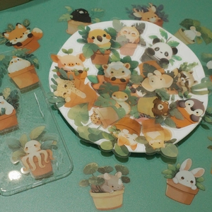 50pcs transparent cartoon plant and animal PET stickers for journals and laptops decor