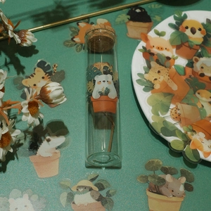 Close-up of decorative test tube with cork and creative animal plant stickers set