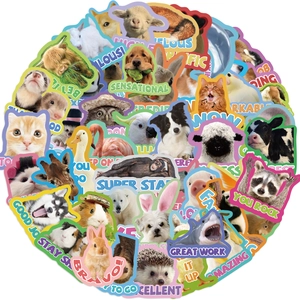 Close-up of animal reward stickers with inspirational English text for classroom decor