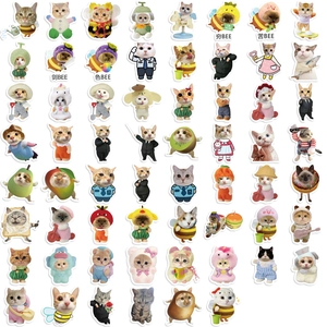 Set of 62 humorous cartoon cat meme stickers for decorating laptops and guitars
