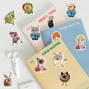 62 pieces of waterproof cartoon cat meme stickers for laptop guitar and luggage DIY deco