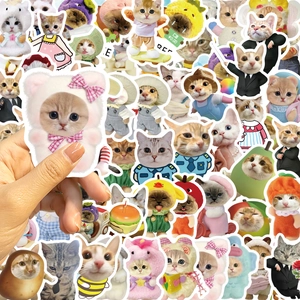 62 pieces pack of funny cartoon cat meme stickers for guitar laptop luggage decoration