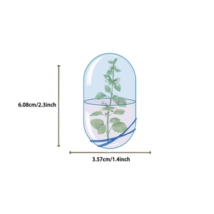 Tabella delle taglie per adesivo floreale a forma di capsula alto 6 cm con piante verdi
