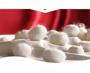 Macro shot showing high-quality raw silk cocoons on white mulberry silk jacquard fabric