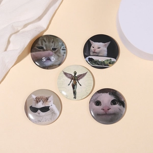 Set of 5 funny internet cat meme enamel pins and cute artistic round badges for clothing