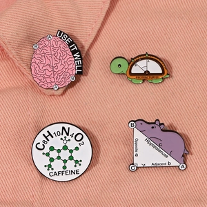 Detail of creative science enamel pins featuring a turtle protractor and math themes