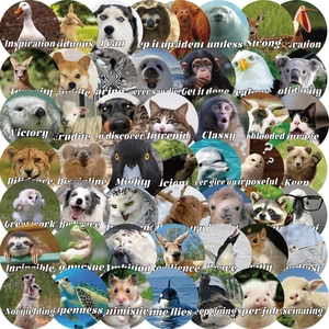 Lot de 50 autocollants animaux étanches avec citations inspirantes pour ordinateurs