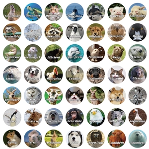 Lot de 50 autocollants animaux imperméables avec citations inspirantes en anglais