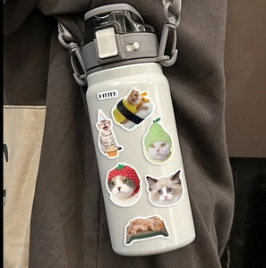 Autocollants de chats mignons et étanches décorés sur une gourde de sport blanche