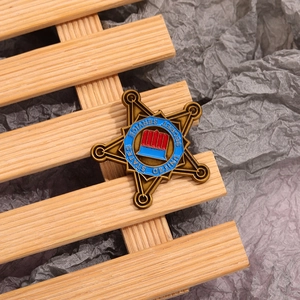 Vintage bronze pentagram secret service badge pin with red and blue enamel shield
