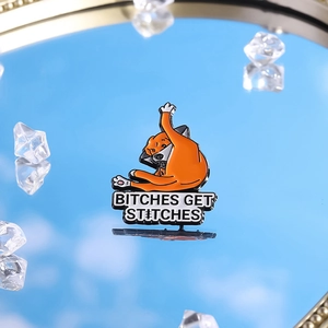 Funny orange dog enamel pin with Bitches Get Stitches text on mirror with blue sky