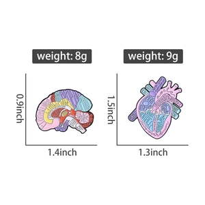 Detailed anatomical brain and heart enamel pins with medical terminology and size specs