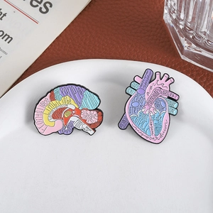 Enamel anatomical heart and brain pins with medical labels for doctors and students