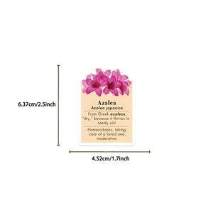 Dettaglio di adesivo floreale con illustrazione di azalea, significato e dimensioni