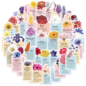50 adesivi floreali impermeabili con nomi botanici e significati per decorazioni fai-da-te