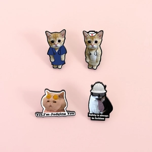 Broche en Émail Chat Dessin Animé Rigolo Médecin Infirmière Profession Alliage Badge Pour Décoration Vêtements Sac Bijoux Animaux Mignons Tarot Raton Laveur