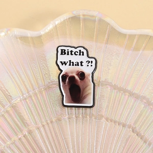 Funny Bitch What surprised Chihuahua enamel pin badge for quirky clothing accessories
