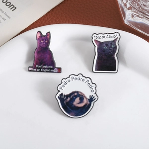 Trois broches mignonnes en émail chat et raton laveur sur une assiette en céramique