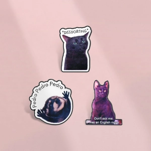 Épingle en Émail Drôle Chat Raton Laveur Mème Alliage de Zinc Badge Métallique Citation Anglaise Broche pour Sac à Dos Vêtements Décor Cadeau
