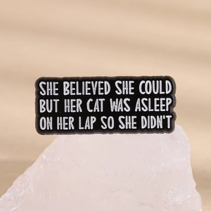 Funny cat-themed enamel rectangle pin with humorous text on a metallic base
