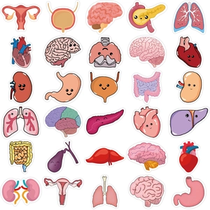 Set of 50 cartoon human organ stickers for laptops and guitars with funny faces