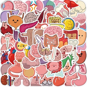 Cartoon Human Organs Stickers Waterproof PVC Kawaii Anatomy Decals For Laptop Luggage Guitar Notebook DIY Decoration Kids Gift