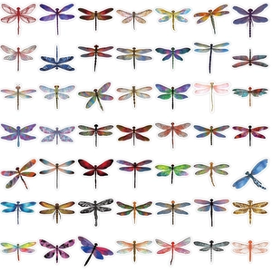 Pack of 53 colorful dragonfly graffiti stickers for laptop and guitar decoration