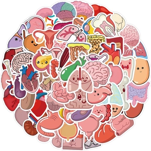 Detailed view of waterproof cartoon organ stickers with cute heart and brain designs